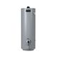40-Gallon Mobile Home Direct Vent Natural Gas/Propane Water Heater - 6 Year Warranty